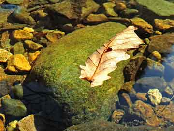 澳门资料大全，探索2004年澳门彩票的奥秘——第124期深度解析,2004澳门资料大全免费124期 11-13-17-20-40-49V：16